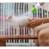 ペット用シャワーヘッド ペットボトル用ジョウロ 犬 | PlusNao | 詳細画像9 