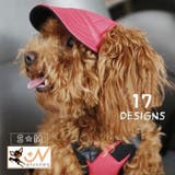 犬用キャップ 帽子 ペット用品 | PlusNao | 詳細画像1 