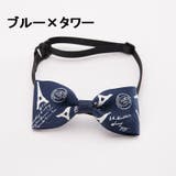 ペット用チョーカー ペット 犬用 | PlusNao | 詳細画像4