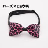 ペット用チョーカー ペット 犬用 | PlusNao | 詳細画像6