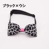 ペット用チョーカー ペット 犬用 | PlusNao | 詳細画像8