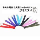 ペット用シートベルト 乗車用ベルト 犬用 | PlusNao | 詳細画像3 