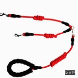 リード ペット用リード 2頭引きリード | PlusNao | 詳細画像11