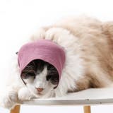 ペット用マフラー ペット用品 犬用 | PlusNao | 詳細画像5 