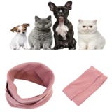 ペット用マフラー ペット用品 犬用 | PlusNao | 詳細画像8 