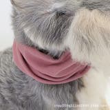 ペット用マフラー ペット用品 犬用 | PlusNao | 詳細画像9 