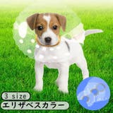 エリザベスカラー 犬用 猫用 | PlusNao | 詳細画像1