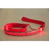 ペット用リード 散歩紐 ペット用品 | PlusNao | 詳細画像7