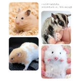 ペット用トイレ ハムスター用トイレ ペット用バス | PlusNao | 詳細画像7 