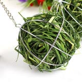 牧草ボール 小動物用 吊り下げ式 | PlusNao | 詳細画像4