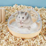 ハムスタートイレ ハムスターハウス 小動物用 | PlusNao | 詳細画像5