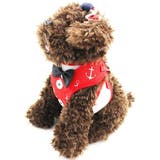 ハーネス リード 2点セット | PlusNao | 詳細画像2