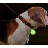 首輪用チャーム 首輪アクセサリー ペット用アクセサリー | PlusNao | 詳細画像2