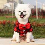 ペットウェア シャツ 蝶ネクタイ | PlusNao | 詳細画像5 