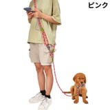リード リーシュ 犬用 | PlusNao | 詳細画像13 