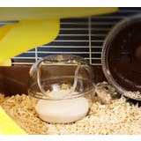 ペット用トイレ 砂浴び 小動物 | PlusNao | 詳細画像2 