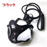 ハーネス リード セット | PlusNao | 詳細画像7 