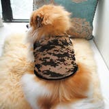 犬服 ドッグウェア 犬用ウェア | PlusNao | 詳細画像7 