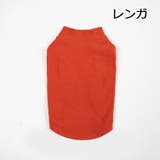 ドッグウェア ペットウェア カットソー | PlusNao | 詳細画像17 