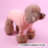 ドッグウェア ペットウェア カットソー | PlusNao | 詳細画像4 