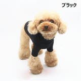 ドッグウェア ペットウェア カットソー | PlusNao | 詳細画像6 