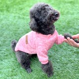 ドッグウェア トレーナー セーター | PlusNao | 詳細画像4 