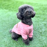 ドッグウェア トレーナー セーター | PlusNao | 詳細画像5 