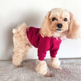 ドッグウェア トレーナー セーター | PlusNao | 詳細画像7 