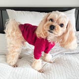 ドッグウェア トレーナー セーター | PlusNao | 詳細画像8 