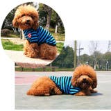 ペットウェア ドッグウェア Ｔシャツ | PlusNao | 詳細画像10 