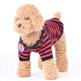 ペットウェア ドッグウェア Ｔシャツ | PlusNao | 詳細画像11 