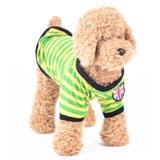 ペットウェア ドッグウェア Ｔシャツ | PlusNao | 詳細画像12 