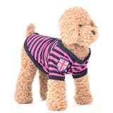 ペットウェア ドッグウェア Ｔシャツ | PlusNao | 詳細画像13 