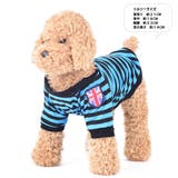 ペットウェア ドッグウェア Ｔシャツ | PlusNao | 詳細画像7 