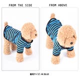 ペットウェア ドッグウェア Ｔシャツ | PlusNao | 詳細画像8 