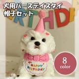 犬用バースデイスタイ帽子セット 猫用バースデイスタイ帽子セット ドッグウェア | PlusNao | 詳細画像1 