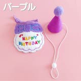 犬用バースデイスタイ帽子セット 猫用バースデイスタイ帽子セット ドッグウェア | PlusNao | 詳細画像13 