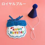 犬用バースデイスタイ帽子セット 猫用バースデイスタイ帽子セット ドッグウェア | PlusNao | 詳細画像17 