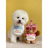 犬用バースデイスタイ帽子セット 猫用バースデイスタイ帽子セット ドッグウェア | PlusNao | 詳細画像5 