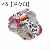 犬用帽子 キャップ ペットウエア | PlusNao | 詳細画像14