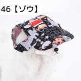 犬用帽子 キャップ ペットウエア | PlusNao | 詳細画像15