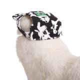 犬用帽子 キャップ ペットウエア | PlusNao | 詳細画像4