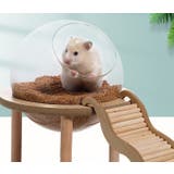 小動物用トイレ ハムスター用トイレ 小動物用砂風呂 | PlusNao | 詳細画像2