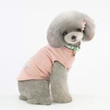 ペット服 Tシャツ 犬 | PlusNao | 詳細画像4
