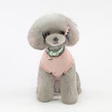 ペット服 Tシャツ 犬 | PlusNao | 詳細画像5