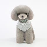 ペット服 Tシャツ 犬 | PlusNao | 詳細画像7