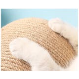 爪とぎ 猫 爪研ぎ | PlusNao | 詳細画像5 