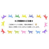 鳥用おもちゃ バードトイ 吊り下げ式 | PlusNao | 詳細画像6
