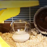 ペット用トイレ お風呂 小動物 | PlusNao | 詳細画像3 