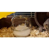 ペット用トイレ お風呂 小動物 | PlusNao | 詳細画像4 